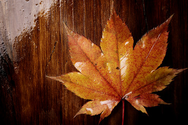 Similar image 8204931