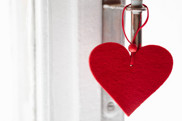 Similar image 8204939