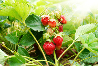 Similar image 8204941