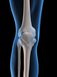 Similar image 8204955