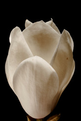 Similar image 8204979