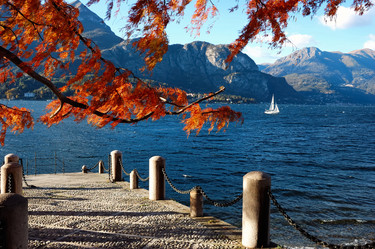 Similar image 8204981