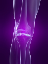 Similar image 8205008