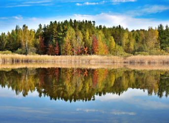 Similar image 8205009