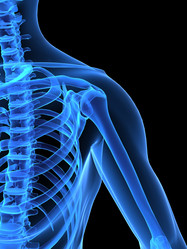 Similar image 8205042