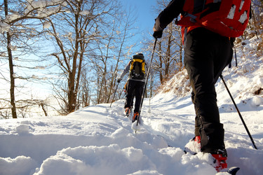 Similar image 8205048