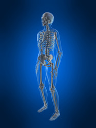 Similar image 8205057