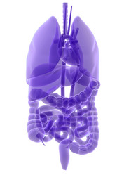 Similar image 8205089