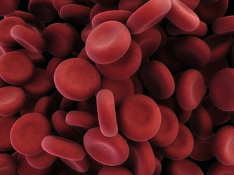 Similar image 8205098