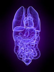 Similar image 8205127