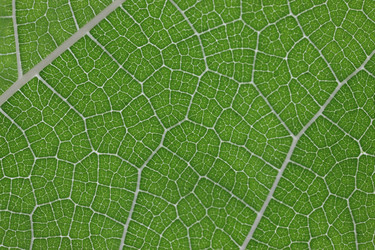 Similar image 8205160