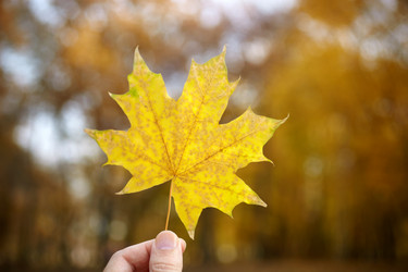 Similar image 8205171