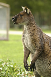 Similar image 8205182