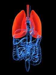 Similar image 8205193