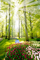 Similar image 8205198