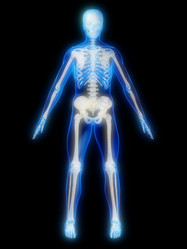 Similar image 8205207