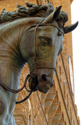 Similar image 8205222