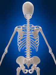 Similar image 8205230