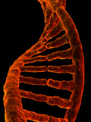 Similar image 8205246