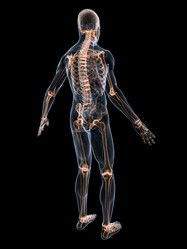 Similar image 8205255