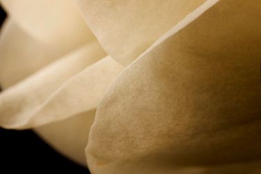 Similar image 8205260