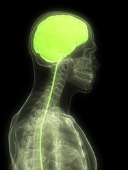 Similar image 8205265