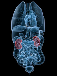 Similar image 8205288