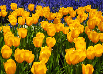 Similar image 8205315