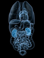 Similar image 8205406