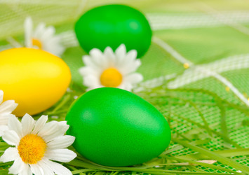 Similar image 8205439