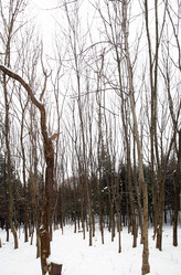 Similar image 8205445