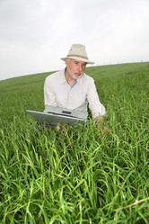 Similar image 8205447