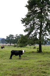 Similar image 8205493