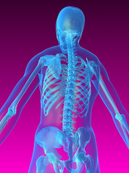 Similar image 8205512