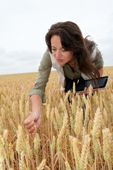 Similar image 8205541