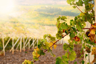 Similar image 8205559