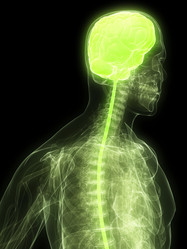 Similar image 8205573