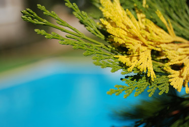 Similar image 8205577