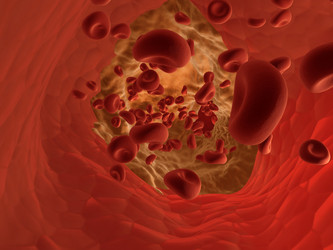 Similar image 8205592