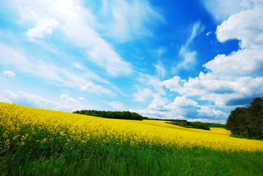 Similar image 8205594