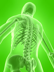 Similar image 8205599