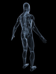 Similar image 8205625