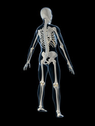 Similar image 8205645