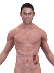 Similar image 8205699