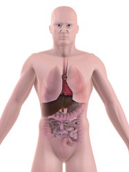 Similar image 8205701