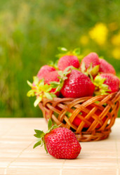 Similar image 8205703