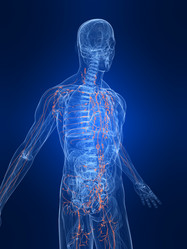 Similar image 8205706