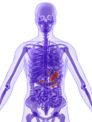 Similar image 8205710