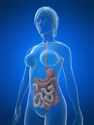 Similar image 8205735