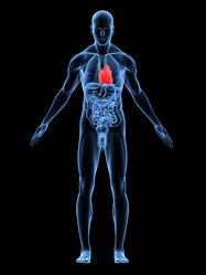 Similar image 8205739